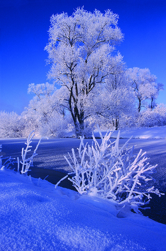 zur Übersicht Winter 7