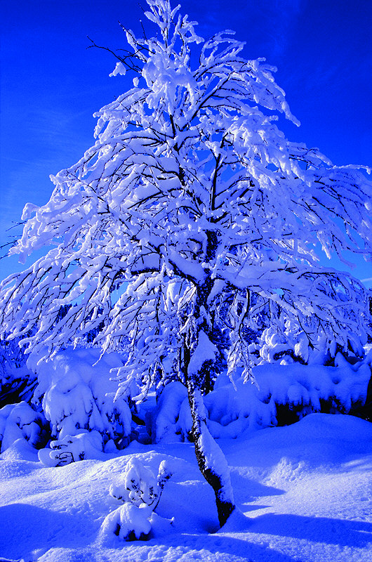 zur Übersicht Winter 7