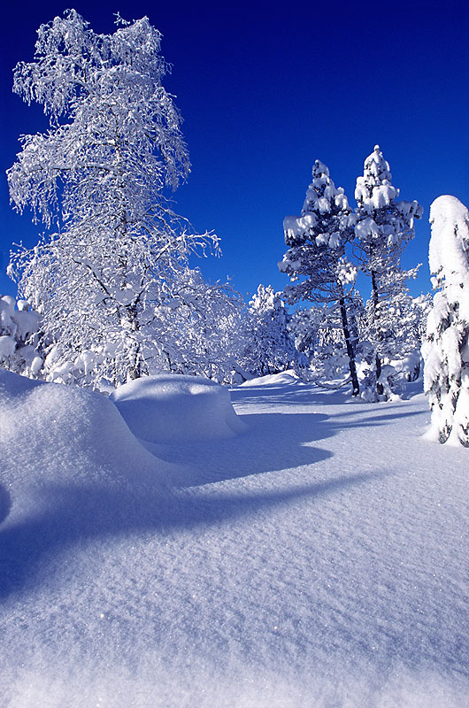 zur Übersicht Winterzauber 8