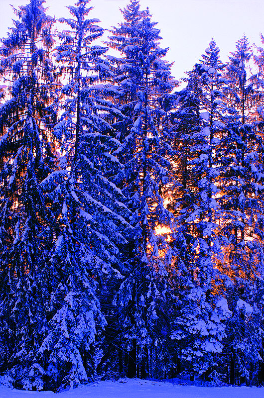 zur Übersicht Winterzauber 8