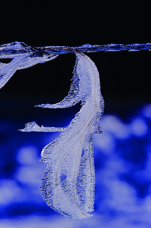 zur Übersicht Winterzauber 8