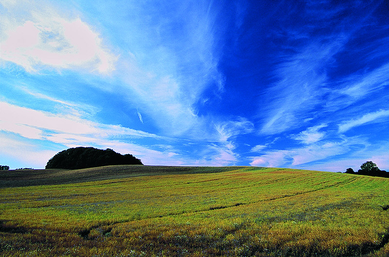 zur Übersicht Wolken II