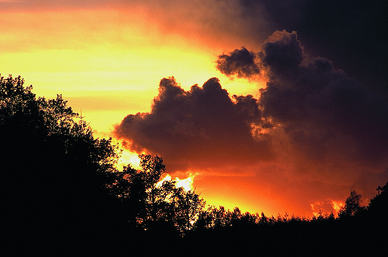 zur Übersicht Wolken III