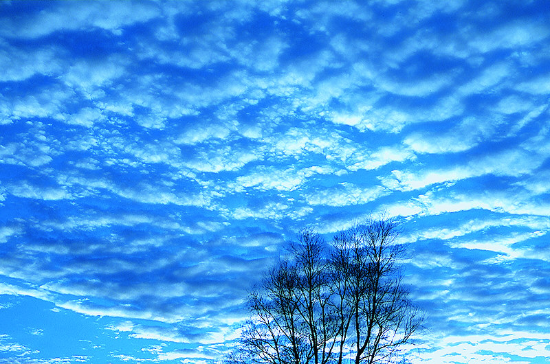 zur Übersicht Wolken III