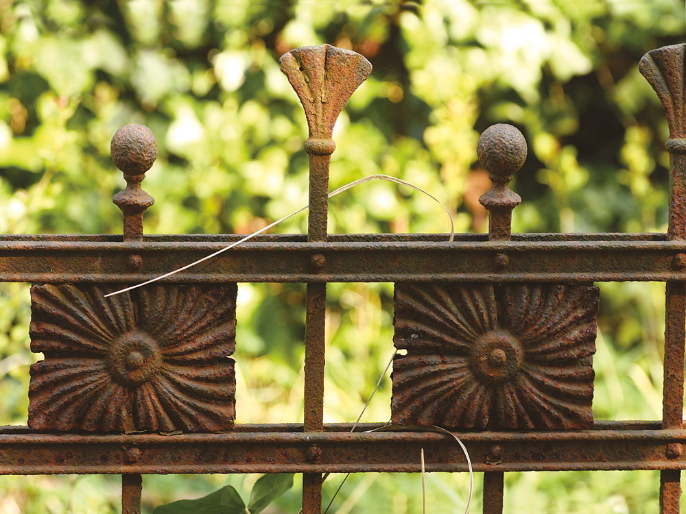 zur &Uuml;bersicht Zaung&auml;ste 8