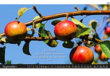 Nie stille steht die Zeit, der Augenblick entschwebt, und den du nicht genutzt, den hast du nicht gelebt. Friedrich Rückert