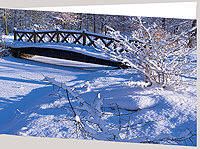 verschneite Brücke
