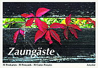 Zaungäste