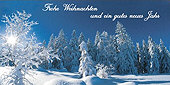Frohe Weihnachten und ein gutes neues Jahr
