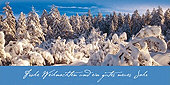 Frohe Weihnachten und ein gutes neues Jahr