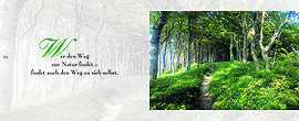 Wer den Weg zur Natur findet - findet auch den Weg zu sich selbst.