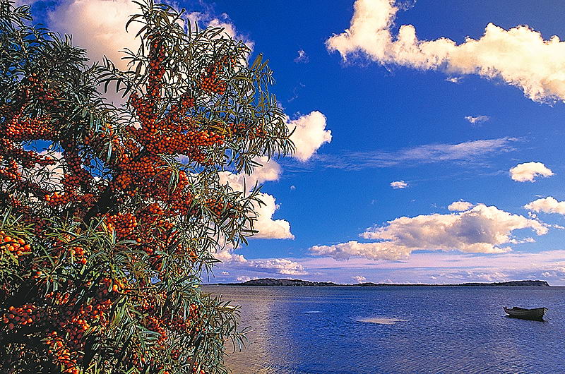 zur &Uuml;bersicht R&uuml;gen 7