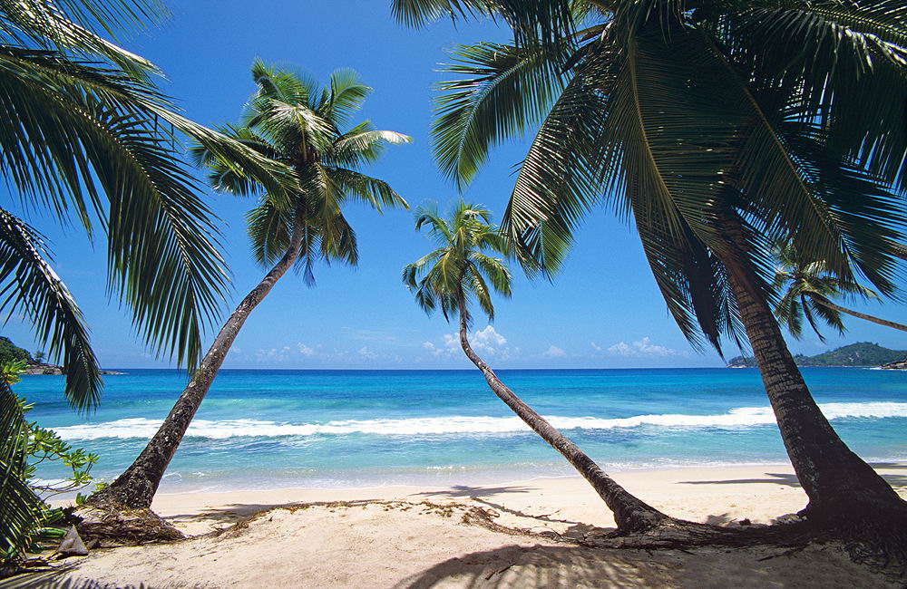 zur &Uuml;bersicht Seychellen 2