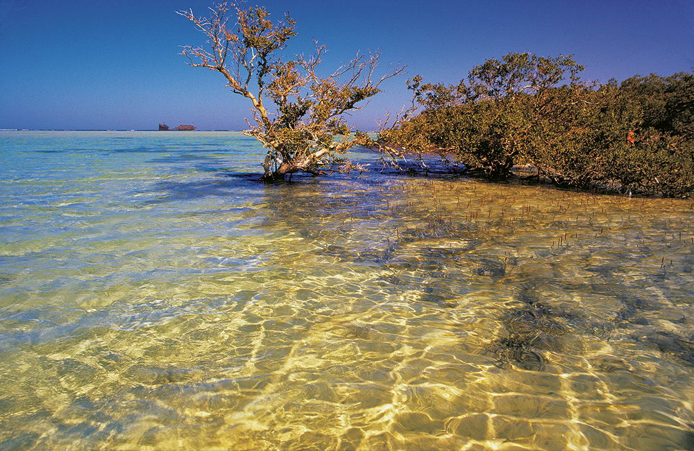 zur &Uuml;bersicht Sri Lanka 2