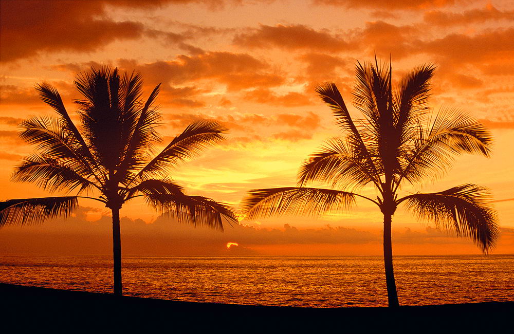 zur &Uuml;bersicht Sri Lanka 2