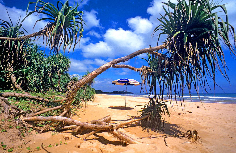 zur &Uuml;bersicht Sri Lanka 2