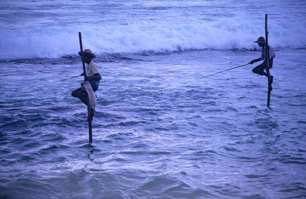 zur &Uuml;bersicht Sri Lanka 2