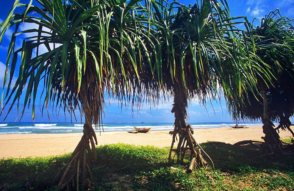 zur &Uuml;bersicht Sri Lanka 2