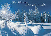 Frohe Weihnachten und ein gutes neues Jahr