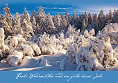 Frohe Weihnachten und ein gutes neues Jahr