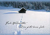 Frohe Weihnachten und ein gutes neues Jahr