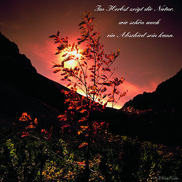 Im Herbst zeigt die Natur, wie schön auch ein Abschied sein kann. 