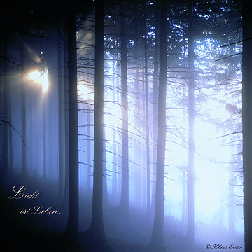Licht ist Leben...